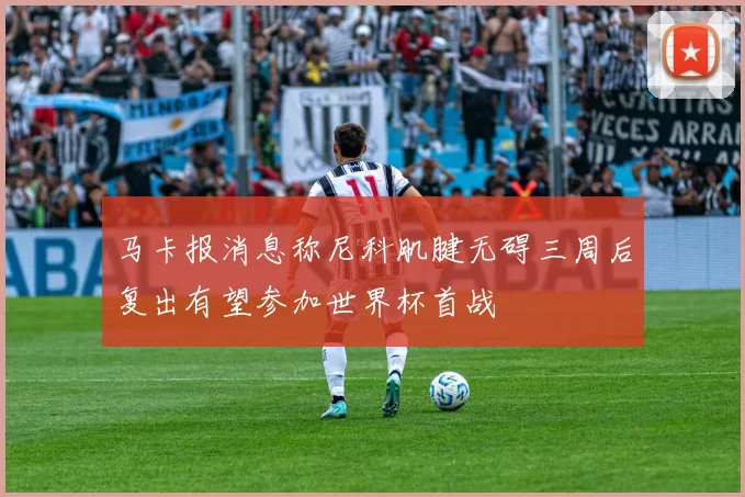 马卡报消息称尼科肌腱无碍三周后复出有望参加世界杯首战